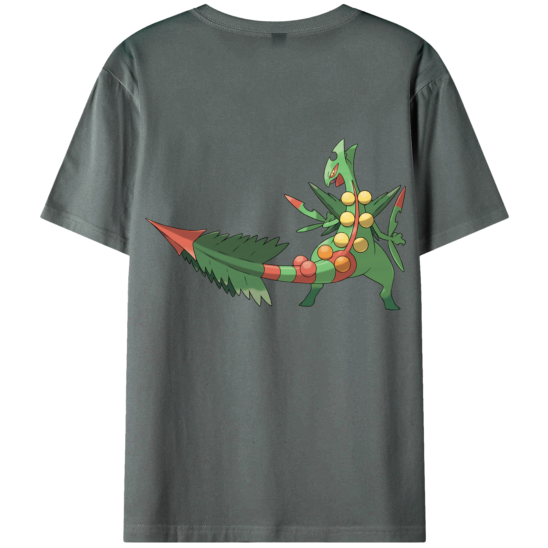 （画像用） ポケットモンスター Pokémon 綿100％ メンズ半袖Tシャツ（バックプリント） 通気性